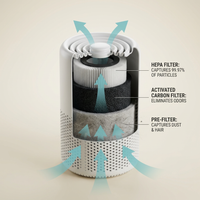 Purificateur d'Air Compact — Filtre HEPA | Air Sain à la Maison